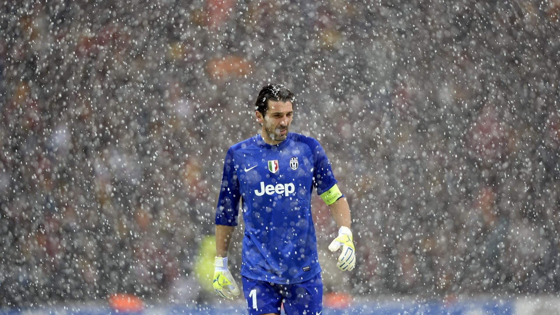 康纳·麦克戴维荣膺季后赛MVP,康纳·麦克尼尔